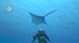 Endless Ocean Porn - Endless Ocean Review | Trusted Reviews