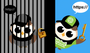 Banned Thai Porn - Lots of porn, piracy, and gambling sites blocked in Thailand