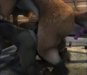 Fur Porn Gay - Gay furry porn. Woah - ThisVid.com