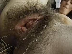 hairy ass xxx - Hairy ass muff - Porn Video at XXX Dessert Tube