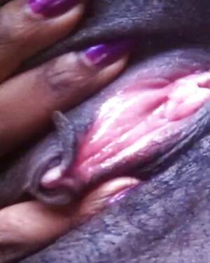 black pink pussy spread - Pretty Black Pussy Spread. Porn Pictures, XXX Photos, Sex Images #1447448 -  PICTOA