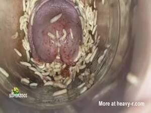 black std pussy - Std Infected Pussy Videos - Free Porn Videos