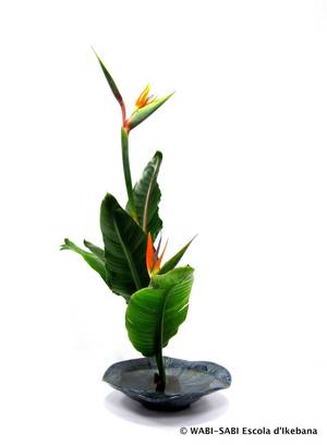 japanese nude ikebana - ESCOLA D'IKEBANA WABI-SABI: Shoka shofutai