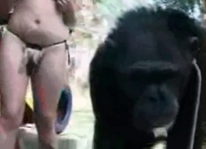 Monkey Pussy Porn - Bitch touching herself in front of her naughty monkey - Zoo Porn