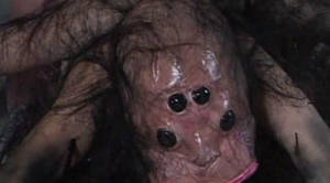 Japanese Spider Porn - If you can top a porn with a giant creepy female spider giving a blowjob  please let me know in the comments!