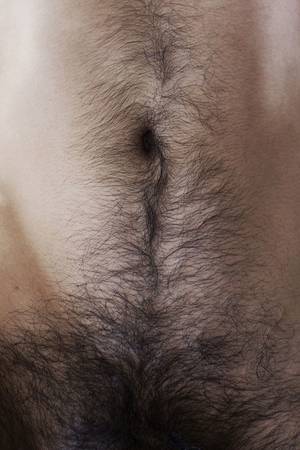 Belly Hair Gay Porn - Hairy Belly