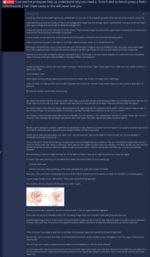 extreme uterus insertion hentai - TL;DR incels think cervix penetration (not touching but actually penetration)  is a thing like in hentai and somehow we love it and it doesn't hurt :  r/badwomensanatomy