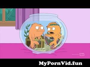 American Dad Hayley And Stan Porn - American Dad - Hayley placing her brain in another goldfish from hayley  smith Watch Video - MyPornVid.fun