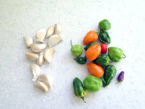 Angelina Jolie Bololo Porn - Ù…Ø¨ÙŠØ¯ Ø­Ø´Ø±ÙŠ Ù…Ù† Ø§Ù„ÙÙ„ÙÙ„ Ùˆ Ø§Ù„Ø«ÙˆÙ… Ùˆ Ø§Ù„ØµØ§Ø¨ÙˆÙ† â€“ plantnmore