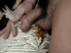 Man Fucks Chicken Bestiality - Chicken porn - Zoo Xvideos