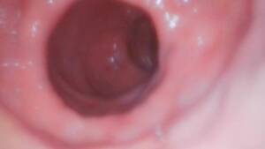 anal exploration - Anal Exploration As Requested 10 11 2021 - ThisVid.com