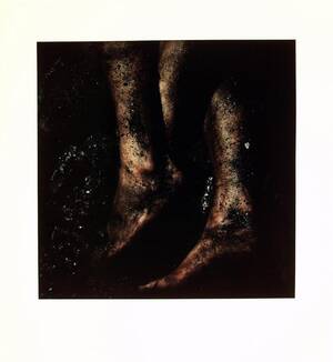 cum shot footjob amber rose - Belkin Art Gallery Collections Management System : Item : <em>The Fallen  Body: Promise VI </em> [BG1309]