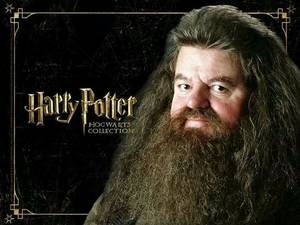 Hagrid Harry Potter Gay Porn - Harry Potter images HP Hogwarts Collection HD wallpaper and background  photos