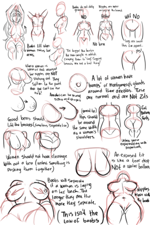 how to draw boobs - Tips on drawing boobs and women : r/pics