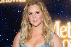 Amy Schumer Blowjob - Amy Schumer promised oral sex in wedding vows | Page Six