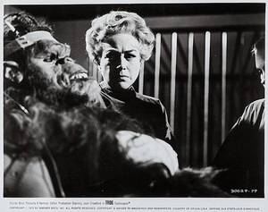 Joan Crawford Lesbian Porn - ... Fair day, Gay, Gold coast, Guys, Joan Crawford, Lesbian, Lost Gay  Sydney, Lost in space, Mardi Gras, Melbourne, Men, Midsumma, Movies,  Newtown, Porn ...