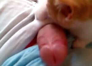 Cat Bestiality Porn - Cats Porno Videolar / Ã§iftlik hayvanlÄ± porno / En popÃ¼ler Sayfa 1
