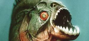 Forbidden 3d Taboo Porn - ... gets even worse when the town discovers their wet t-shirt contests are  being judged above a school of prehistoric and pretty hungry piranhas...in  3D!