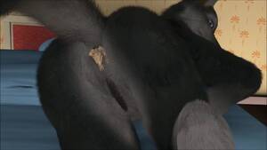 Anal Wolf Porn - Wolf Vagina/Anal Vore Porn Video