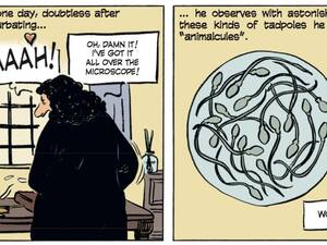 Cartoon Forced Sex Porn - Graphic sex: intimate cartoon history of sex translated into English |  Comics and graphic novels | The Guardian