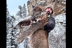 derek wolfe - Ex-NFL star branded 'piece of s**t' for killing mountain lion he says  'terrorised city' - Daily Star