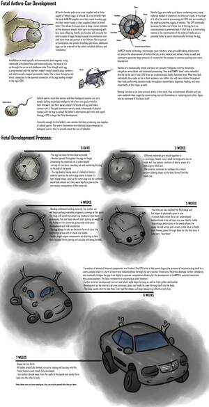 Anthro Car Porn - Anthro-Car Fertilization & Fetal Development by half-dude -- Fur Affinity  [dot] net