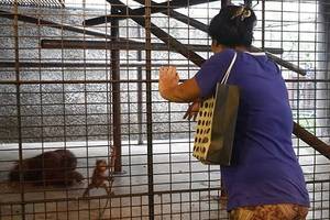 Baby Thai Porn - calfune on Twitter: \