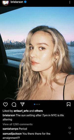 Brie Larson Hardcore Porn - Samuel L. Jackson Defends Brie Larson Against 'Incel Dudes Who Hate Strong  Women' : r/popculturechat