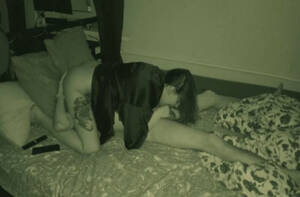 night cam sex bedroom - Night Vision Camera Filmed Spouses Have Sex : XXXBunker.com Porn Tube