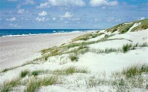 best nude beach in denmark - Denmark, land of the swingers