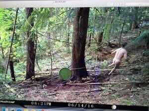 naked girl on trail cam - Naked Girl On Trail Cam | Sex Pictures Pass