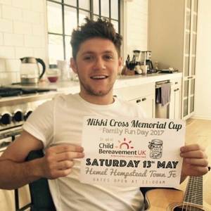 Irish Funny Porn - James Horan, Sweet, One Direction, Niall Horan, Porn, Irish Blessing,  Future Husband, Girls, Funny