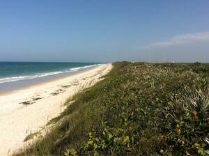 caught naked on public beach - The unspoiled Playalinda, where there are much less naked people than  rumored. : r/florida