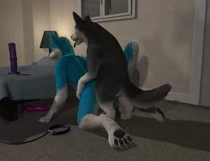 Husky Gay Porn - Feral Husky Rails a Anthro Husky - ThisVid.com
