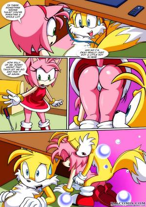 Amy Rose Pregnant Porn - Sonic silly xxx - Sonic project at furry porn pics net jpg 913x1300