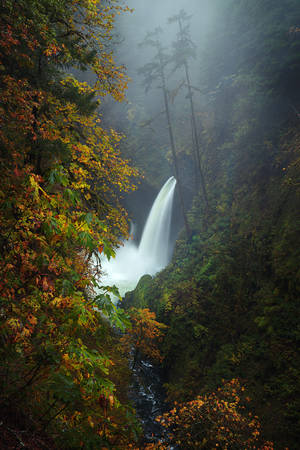 Dirty Boy Porn - Saturday Earth porn 2.