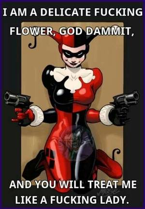 Gotham Girls Cartoon Porn - Handmade Batman's Harley Quinn PDF by BellaStitcheryDesign on Etsy