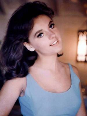 dawn wells nude porn cartoon - Dawn Wells