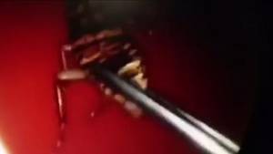 cam damage pussy shots - 