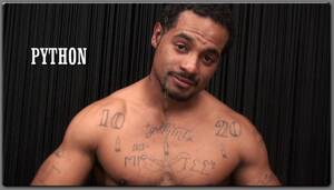 Gay Porn Python - BRANDEN'S FAVORITE THINGS â€” Porn Star Picks: Python