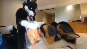 Fursuit Porn - Gay Fursuit sex - ThisVid.com