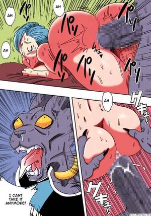 Beerus Dragon Ball Z Porn - 
