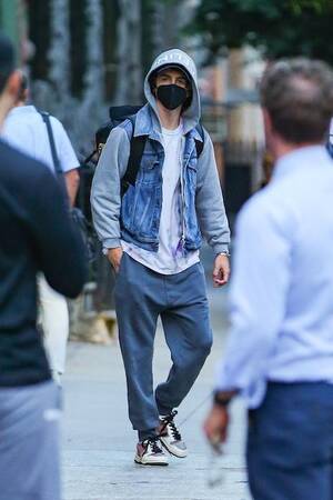 Asian Street Meat Mavis Porn - TIMOTHEE CHALAMET REVERTS BACK TO THE MASK â€“ Janet Charlton's Hollywood,  Celebrity Gossip and Rumors