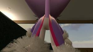 Blaze Cat Porn - SFM Blaze the Cat farting and pooping - ThisVid.com