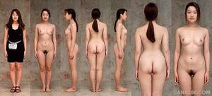 asian girls nude line up - Realistic Nude Women - Ideal Proportion - Joshua Nava Arts