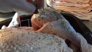 Funny Turkey Porn - Thanksgiving Turkey Porn Videos | Pornhub.com