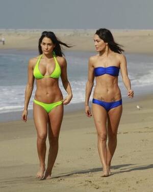 bella twins naked lesbian sex - Bella Twins Nude Porn Pics Leaked, XXX Sex Photos - PICTOA