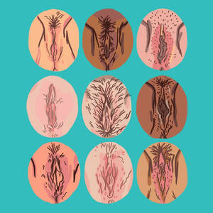 Different Types Of Vaginas Bush Porn - Are My Labia Normal? â€“ Dame Products