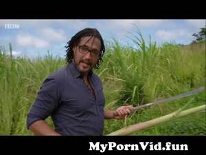 Barbados Sugar Porn - The Sugar Plantations of British Barbados from sugarslave17 Watch Video -  MyPornVid.fun