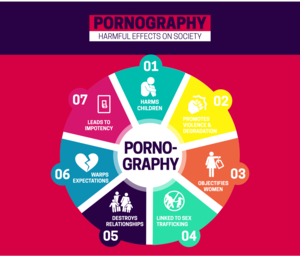 Effects Of - 7 Harmful effects of pornography on society â€“ iMe Movement